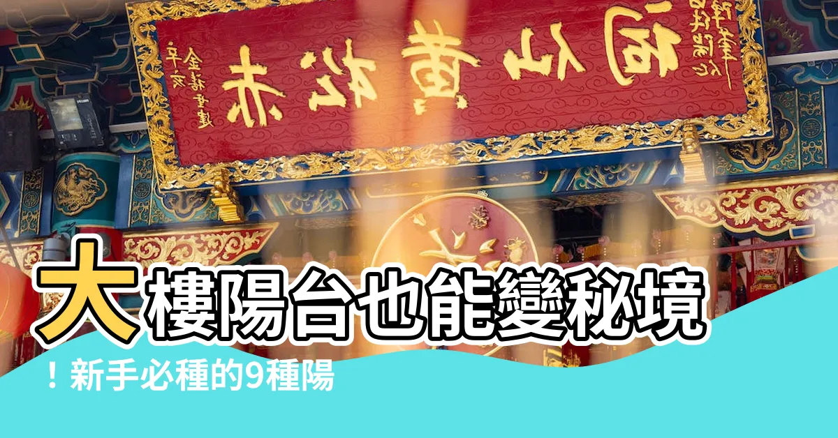 【大樓陽台盆栽】大樓陽台也能變秘境！新手必種的9種陽台盆栽