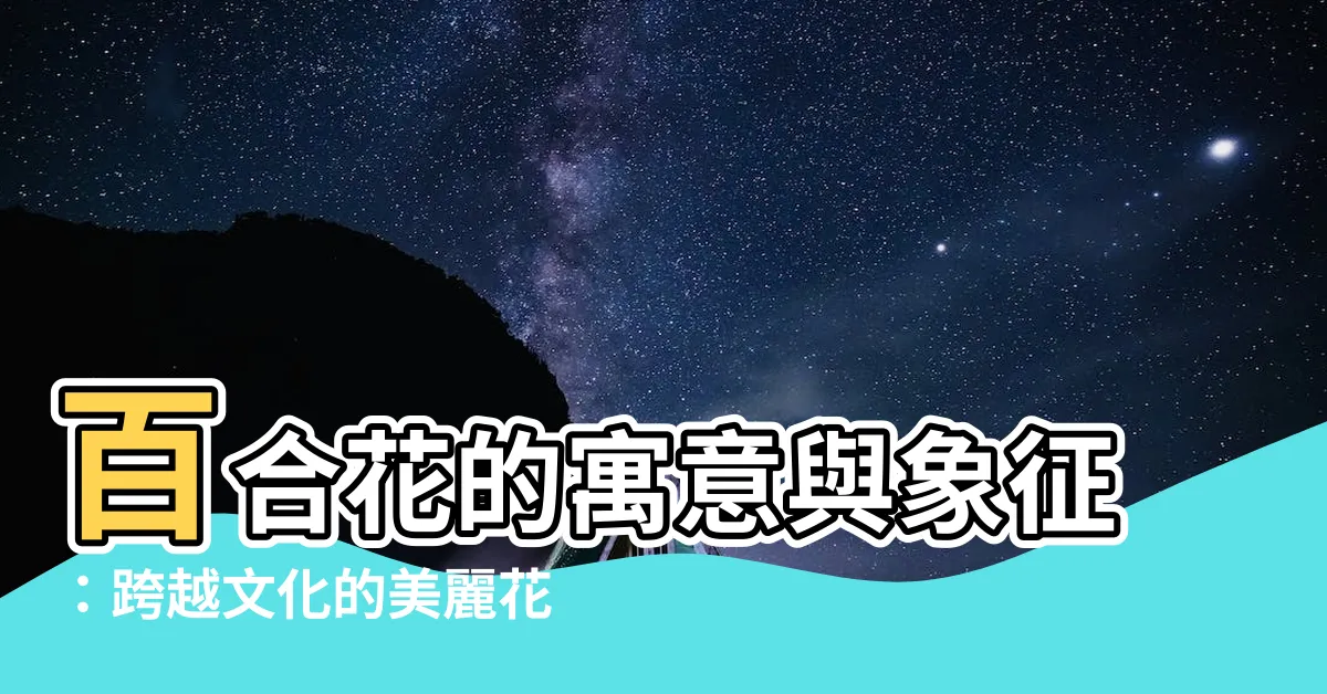【百合花寓意】百合花的寓意與象徵：跨越文化的美麗花語