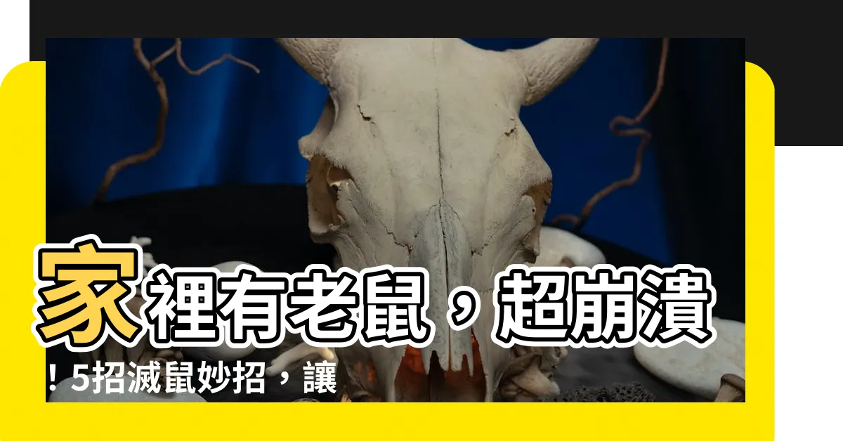 【家裡 老鼠】家裡有老鼠，超崩潰！5招滅鼠妙招，讓老鼠再也進不了你的家！