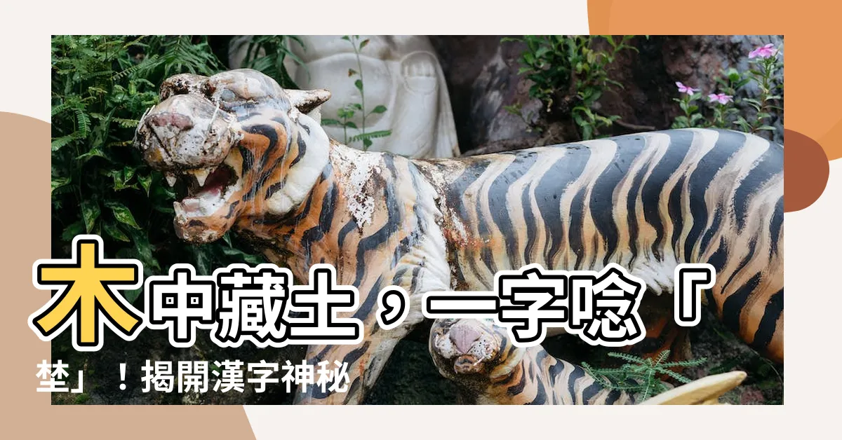 【木 木 土 漢字】木中藏土，一字唸「埜」！揭開漢字神秘的一面