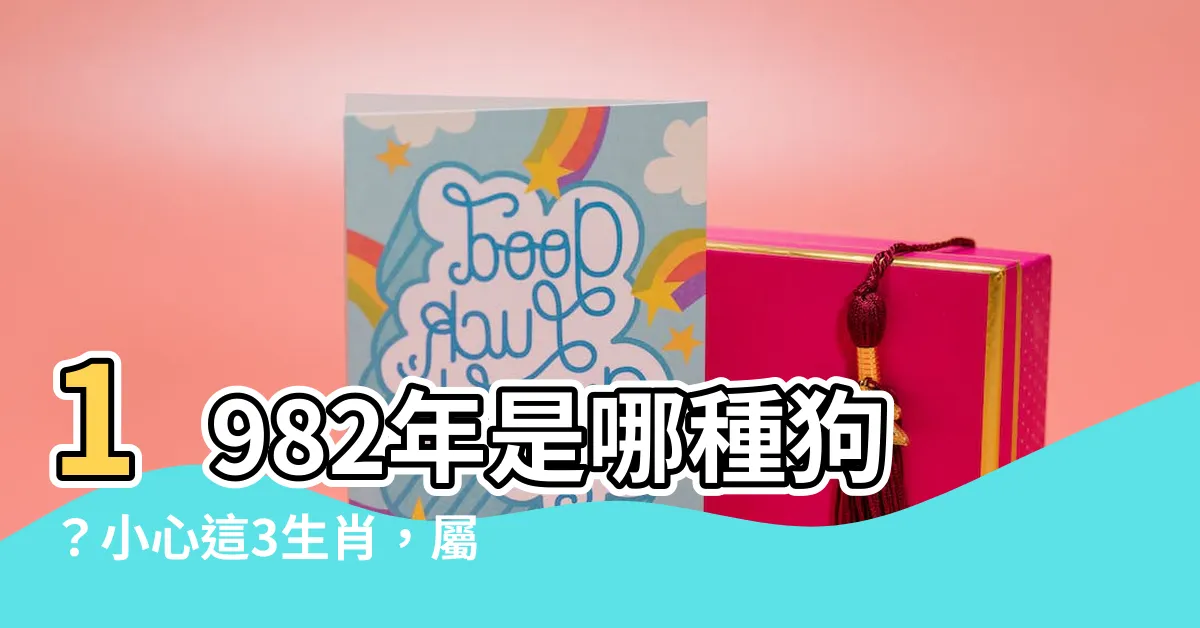 【1982年是什麼狗】1982年是哪種狗？小心這3生肖，屬狗的人快來對號入座