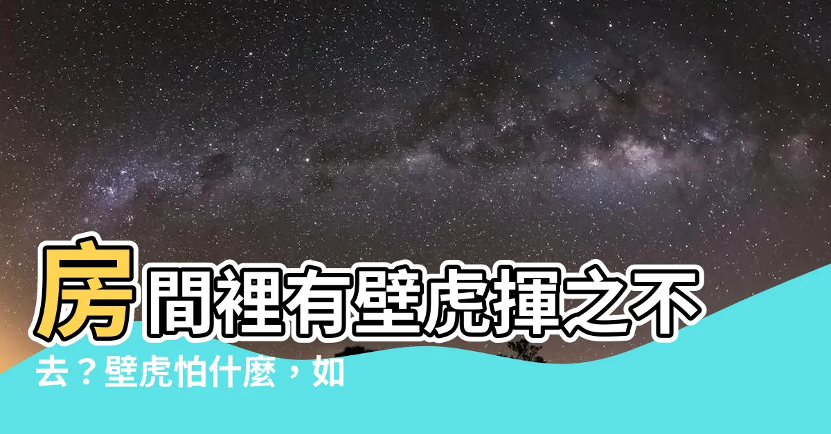【房間有壁虎】房間裡有壁虎揮之不去？壁虎怕什麼，如何驅逐？