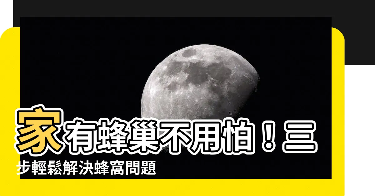 【家有蜂巢】家有蜂巢不用怕！三步輕鬆解決蜂窩問題，讓您安心過日子