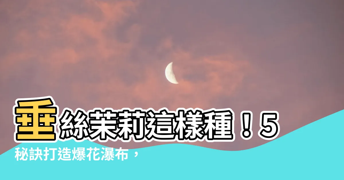 【垂絲茉莉種植】垂絲茉莉這樣種！5秘訣打造爆花瀑布，花期長達半年！