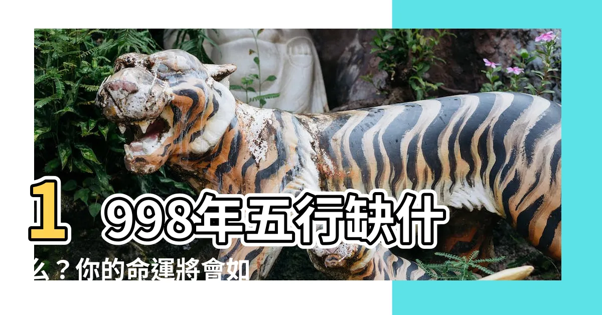 【1998年五行缺什麼】1998年五行缺什麼？你的命運將會如何？