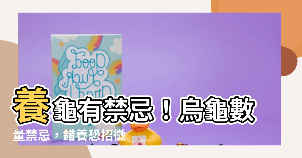 【烏龜數量禁忌】養龜有禁忌！烏龜數量禁忌，錯養恐招黴運